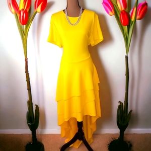 2/$50 NWOT SimpleFun Short Sleeve High-Low Dress/Top, Size XXL